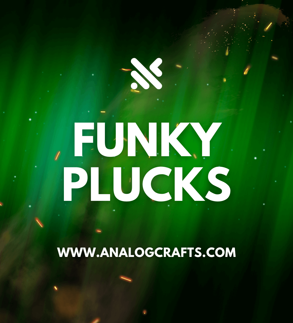 Funky Plucks collection of guitar licks and phrases for groovy house music productions.