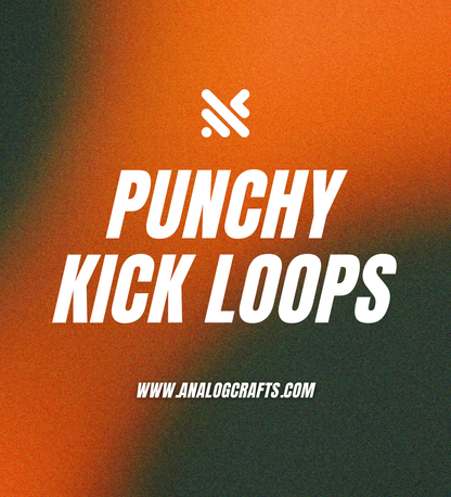 Punchy Kick Loops